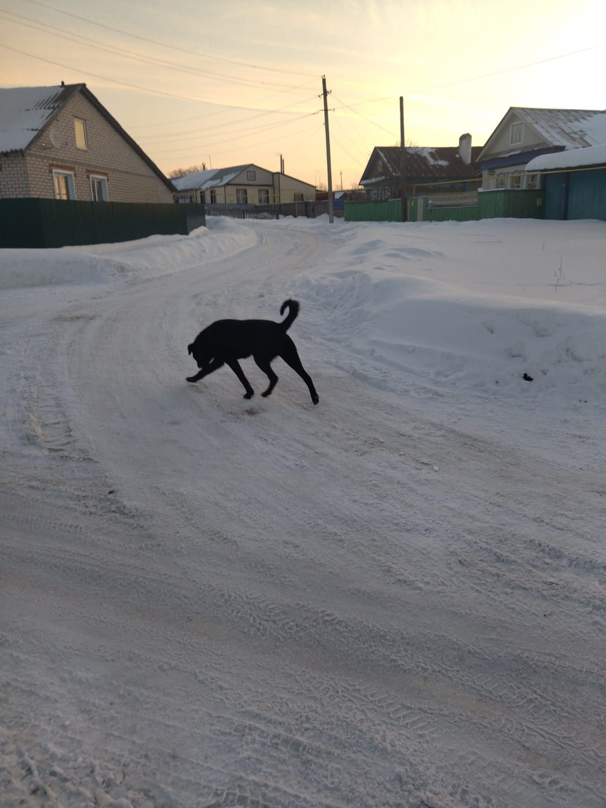 Унбиш минут эчендә унбер эт очрады