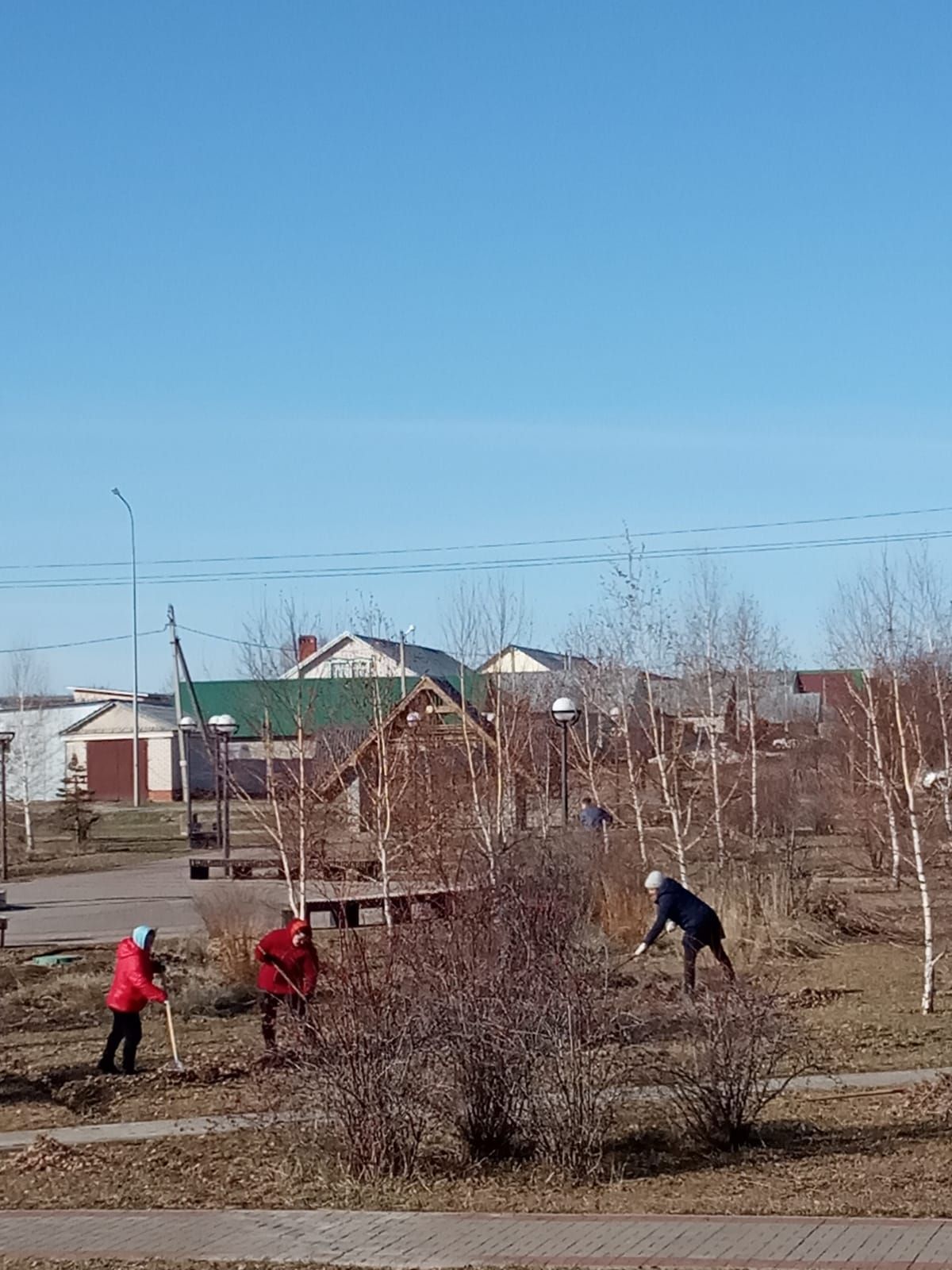 Паркны чистарталар