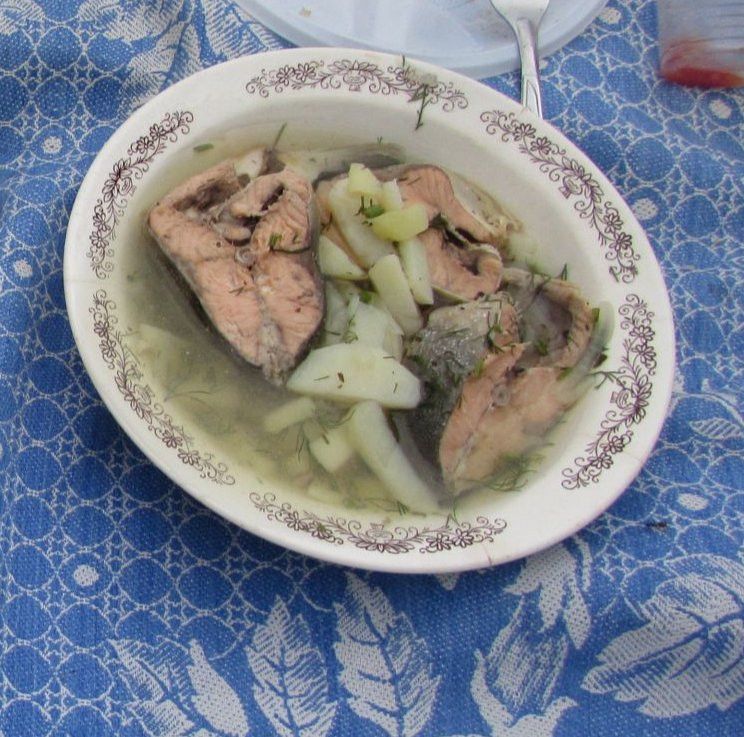 Тиз өлгерә торган балык шулпасы