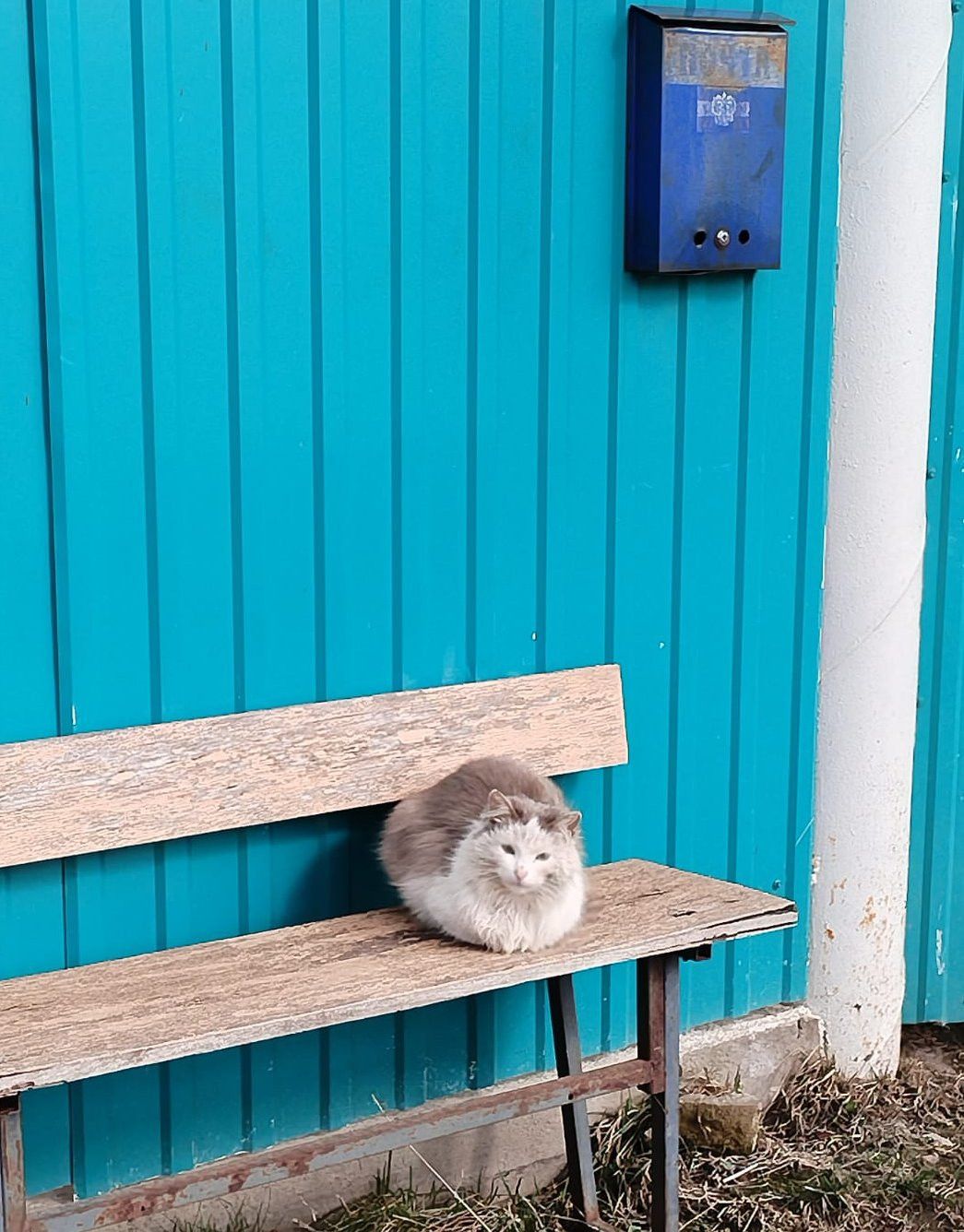 Әтнәдә бүген аяз һава торышы саклана