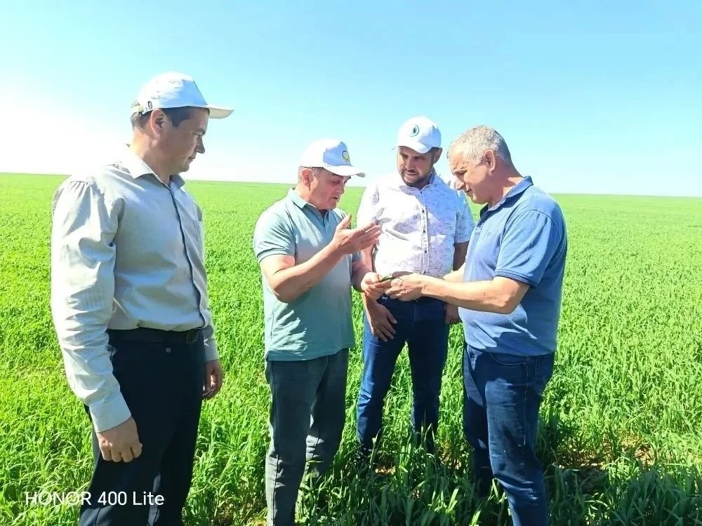 Әтнә районы башлыгы язгы чәчү барышы белән таныша