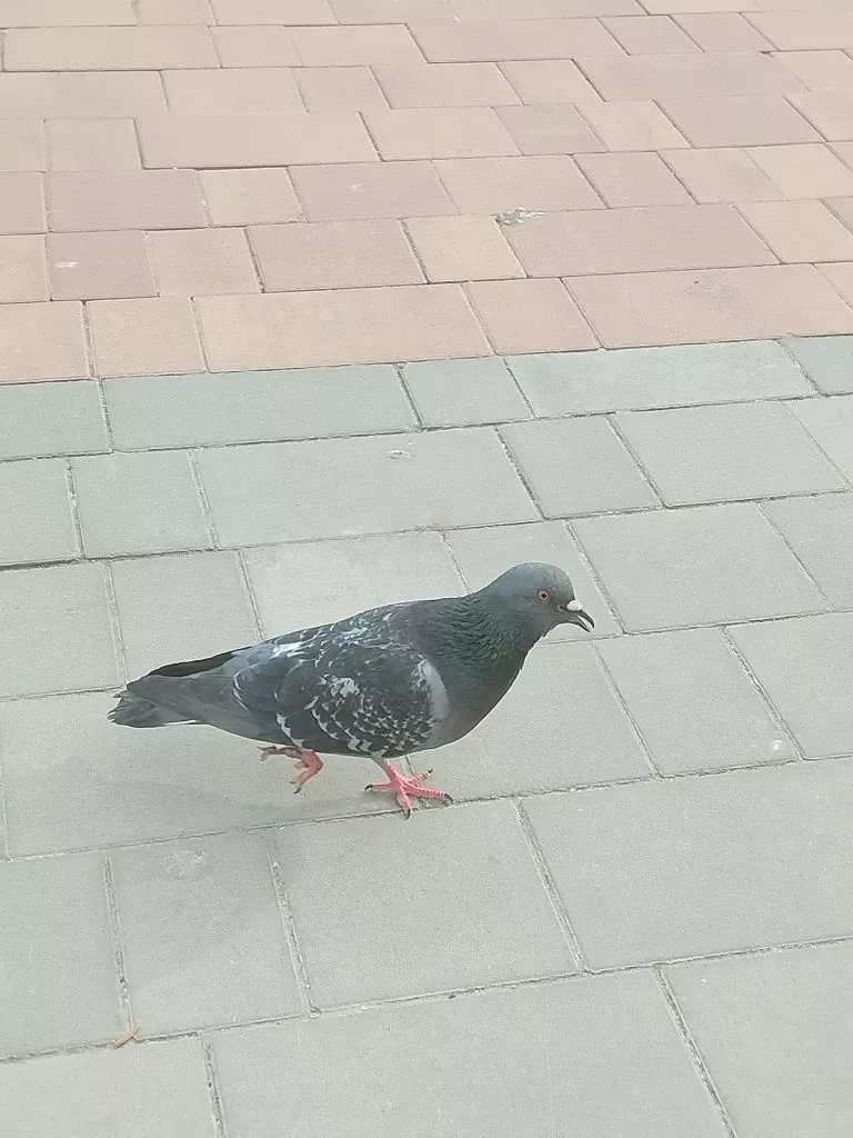 Бүген Әтнәдә яңгыр явачак