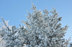 Бүген Әтнәдә кар явачак, юлларда бозлавык саклана