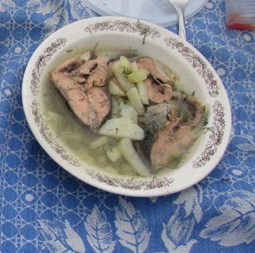Тиз өлгерә торган балык шулпасы