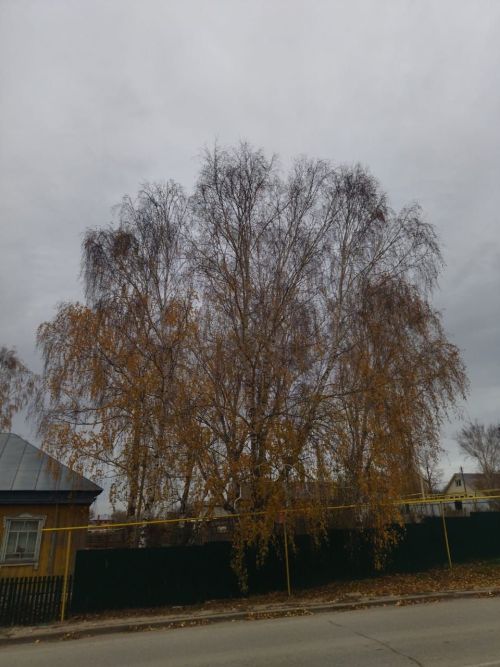 Һава торышы