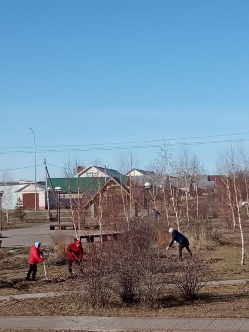 Паркны чистарталар