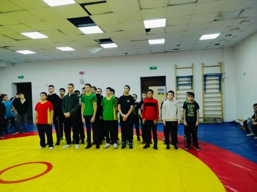 Әтнәдә XIX Спартакиада кысаларында көрәш ярышы булып узды