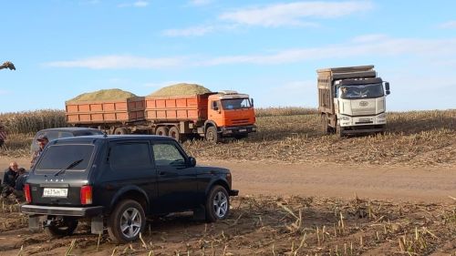Уңышлылар басуда концерт карадылар