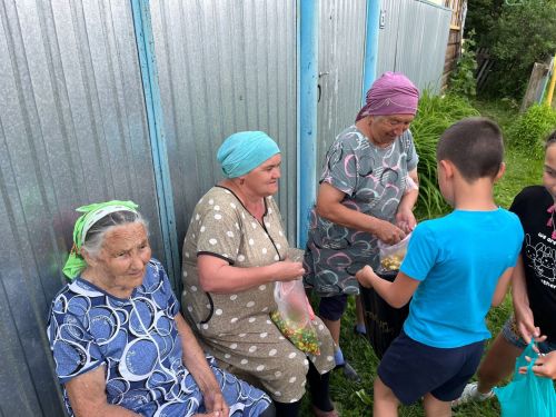 Чишмәле Сап авылында балалар сабан туена бирнә җыйдылар