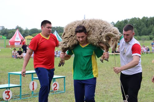 Әтнә районы авылларының Сабантуй батырлары