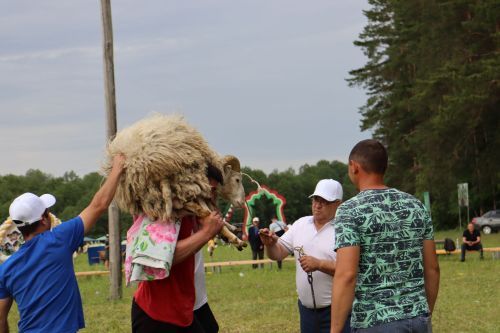 Әтнә районы авылларының Сабантуй батырлары