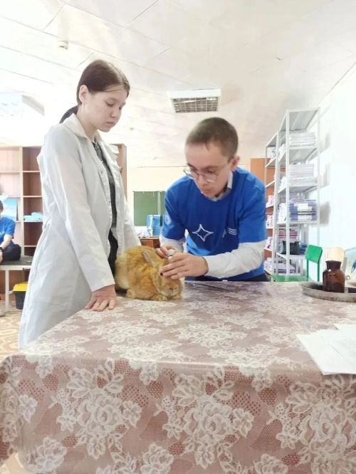 Әтнә авыл хуҗалыгы техникумы «Профессионалитет» федераль проектының «Яшьләр һәм балалар» милли проектына кушылды