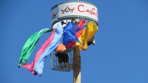 Лос-Анджелеста татар һәм башкортлар өчен Сабантуй үткәргәннәр