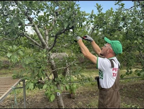 Әтнә авыл хуҗалыгы техникумы студенты Алмаз Җиһаншин   2 урынга лаек була
