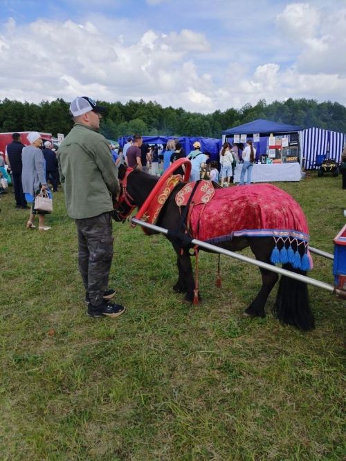 Әтнә районы Сабан туена рәхим итегез