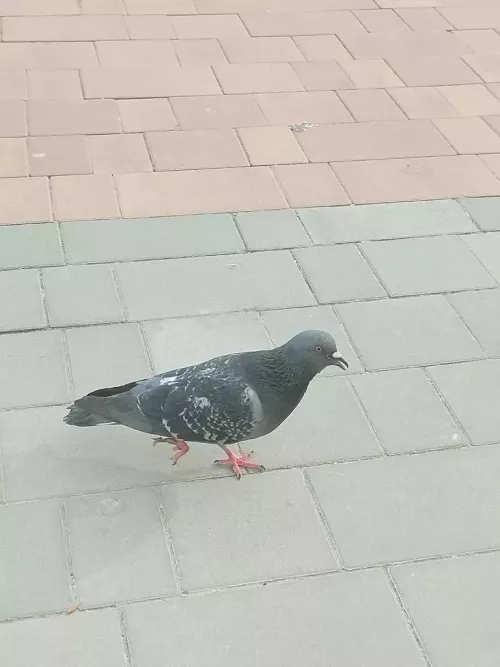 Бүген Әтнәдә яңгыр явачак