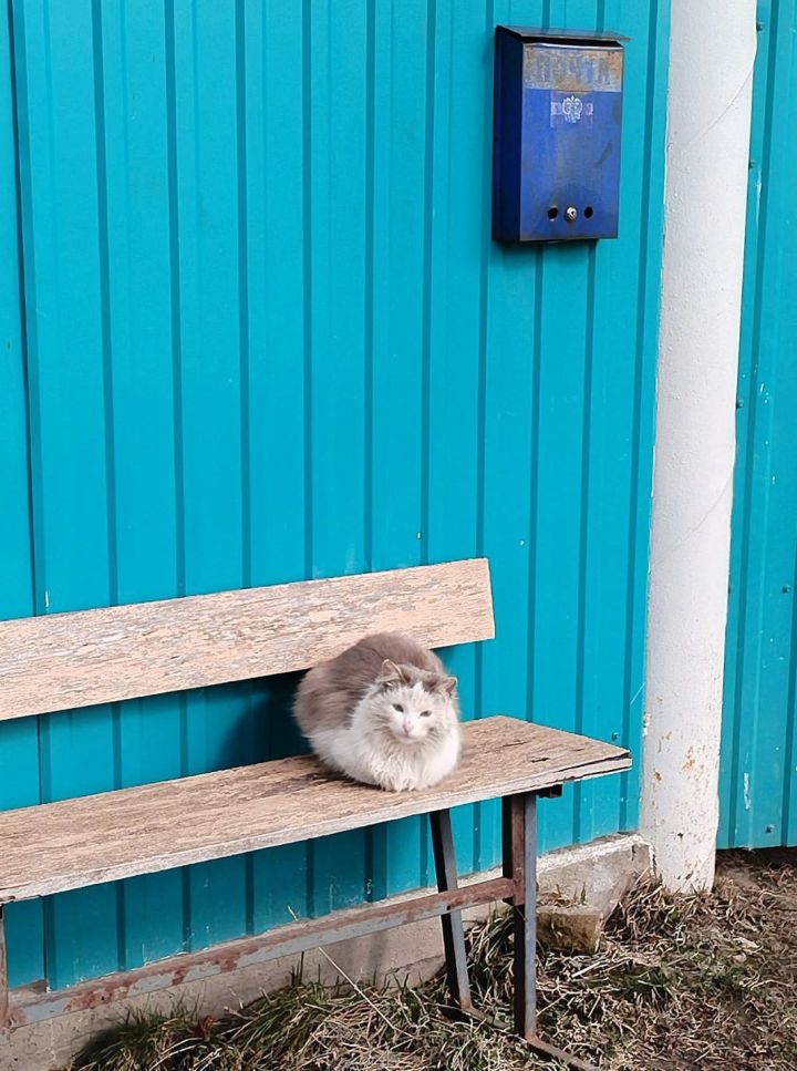 Әтнәдә бүген аяз һава торышы саклана