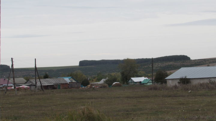 Мул сулы, гүзәл болынлы, яшеллеккә төренгән авылым Югары Сәрдә