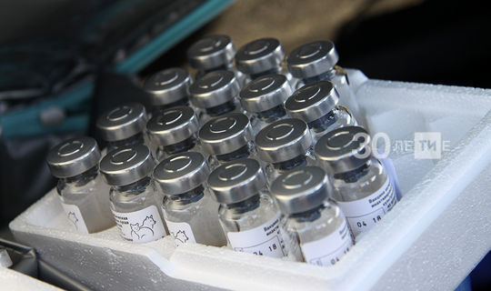 Татарстанга тагын 48 мең доза «Спутник V» вакцинасы кайтарылган
