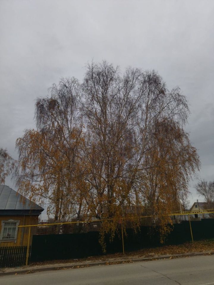 Һава торышы