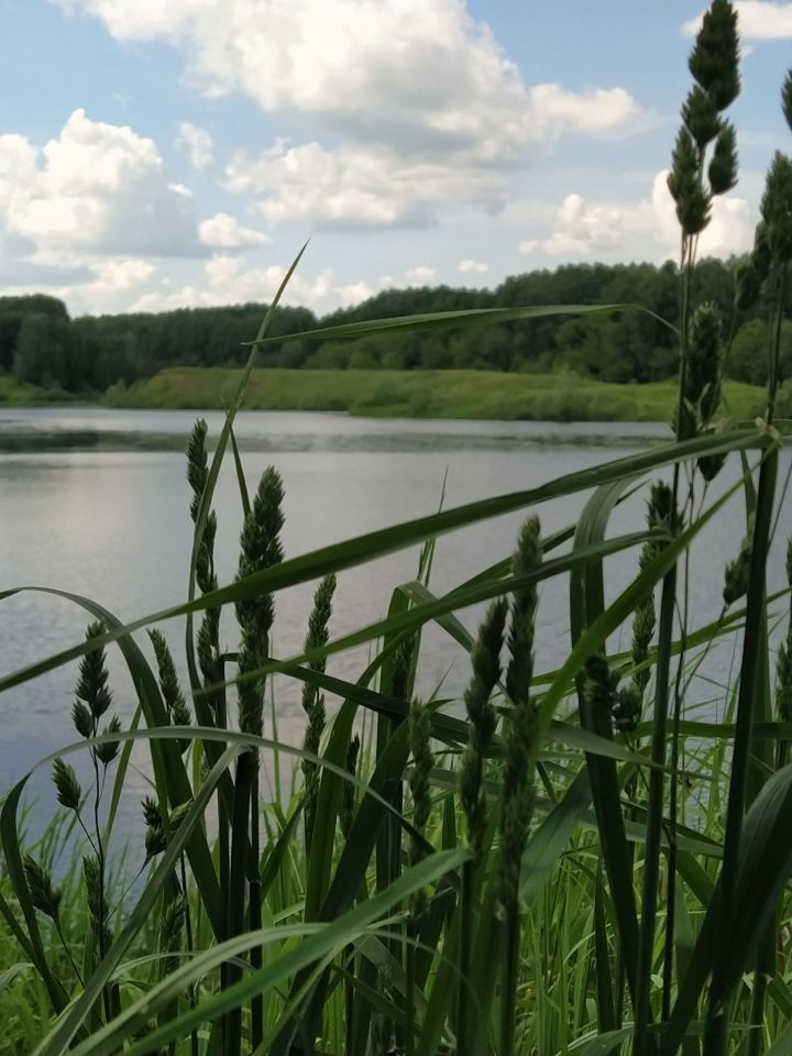 Ялларда Татарстанда салкынча һава торышы була