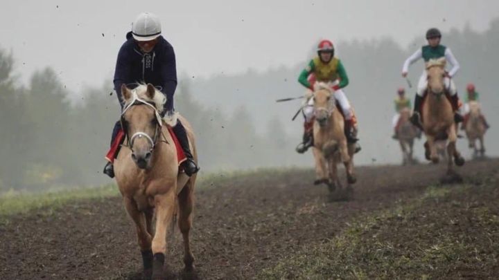 9 сентябрьдә Арча районының Яңа Кырлай авылында ат-спорт бәйрәме – “Ат көне” узачак