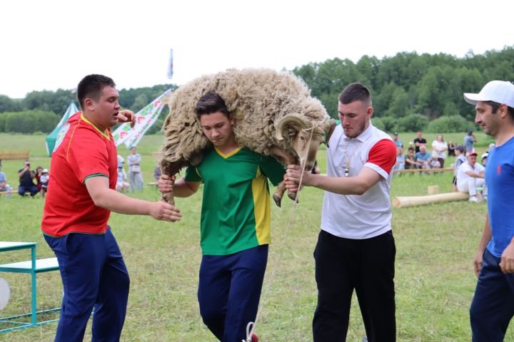 Әтнә районы авылларының Сабантуй батырлары