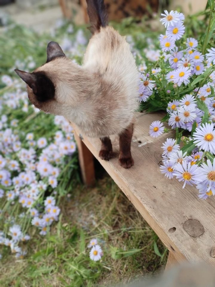 Әтнәдә бүген аяз һава торышы саклана