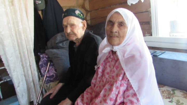 “Ярты халыкны черек бәрәңге алып калды”