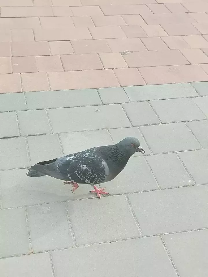 Бүген Әтнәдә яңгыр явачак