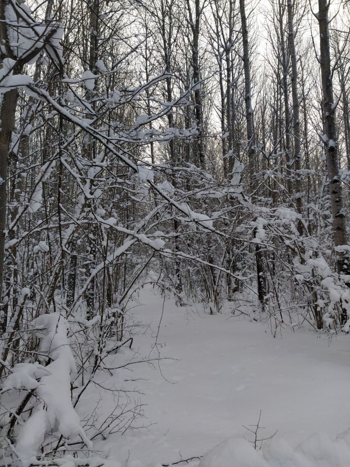 Күз яше