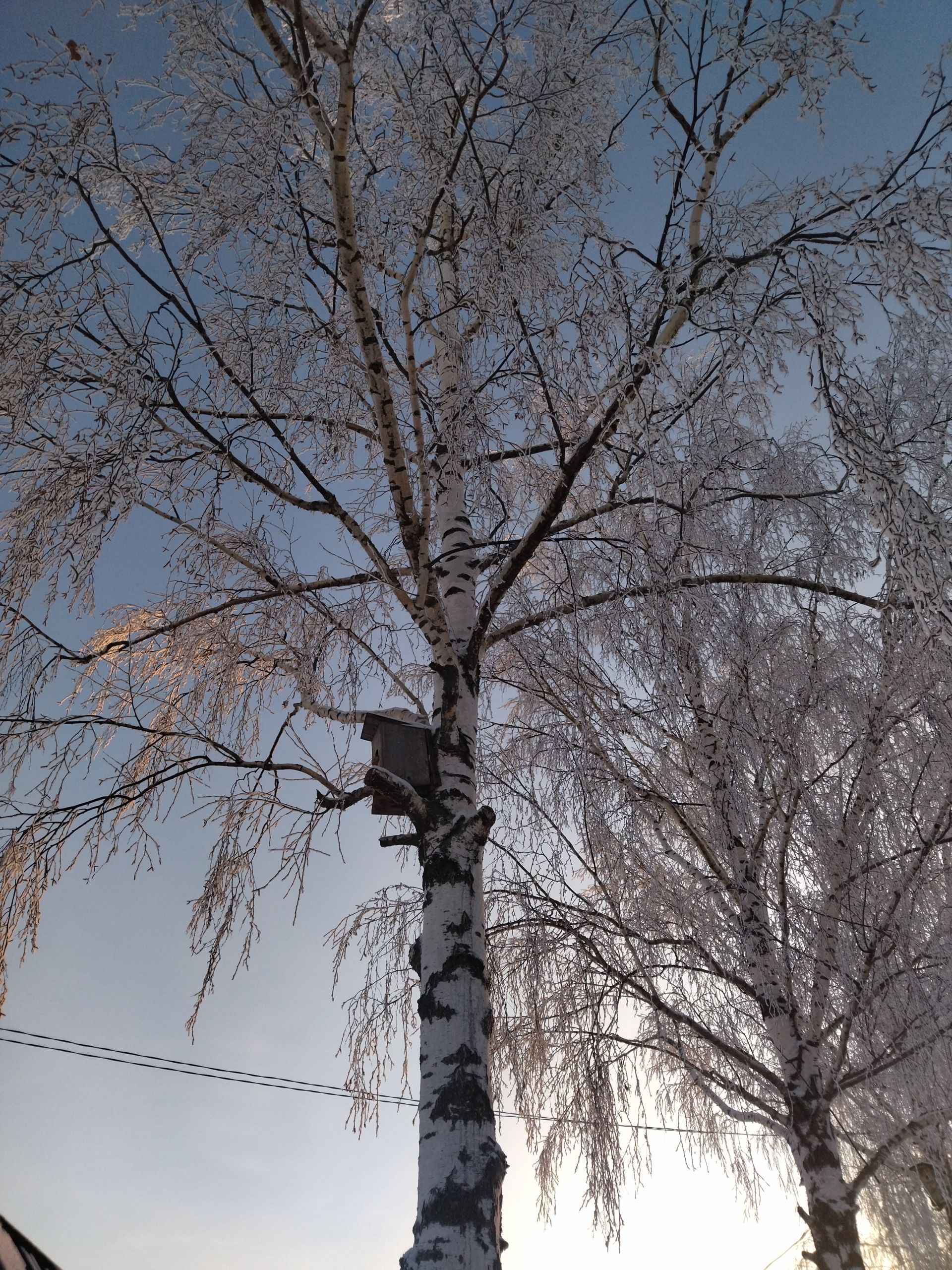 Һава торышы