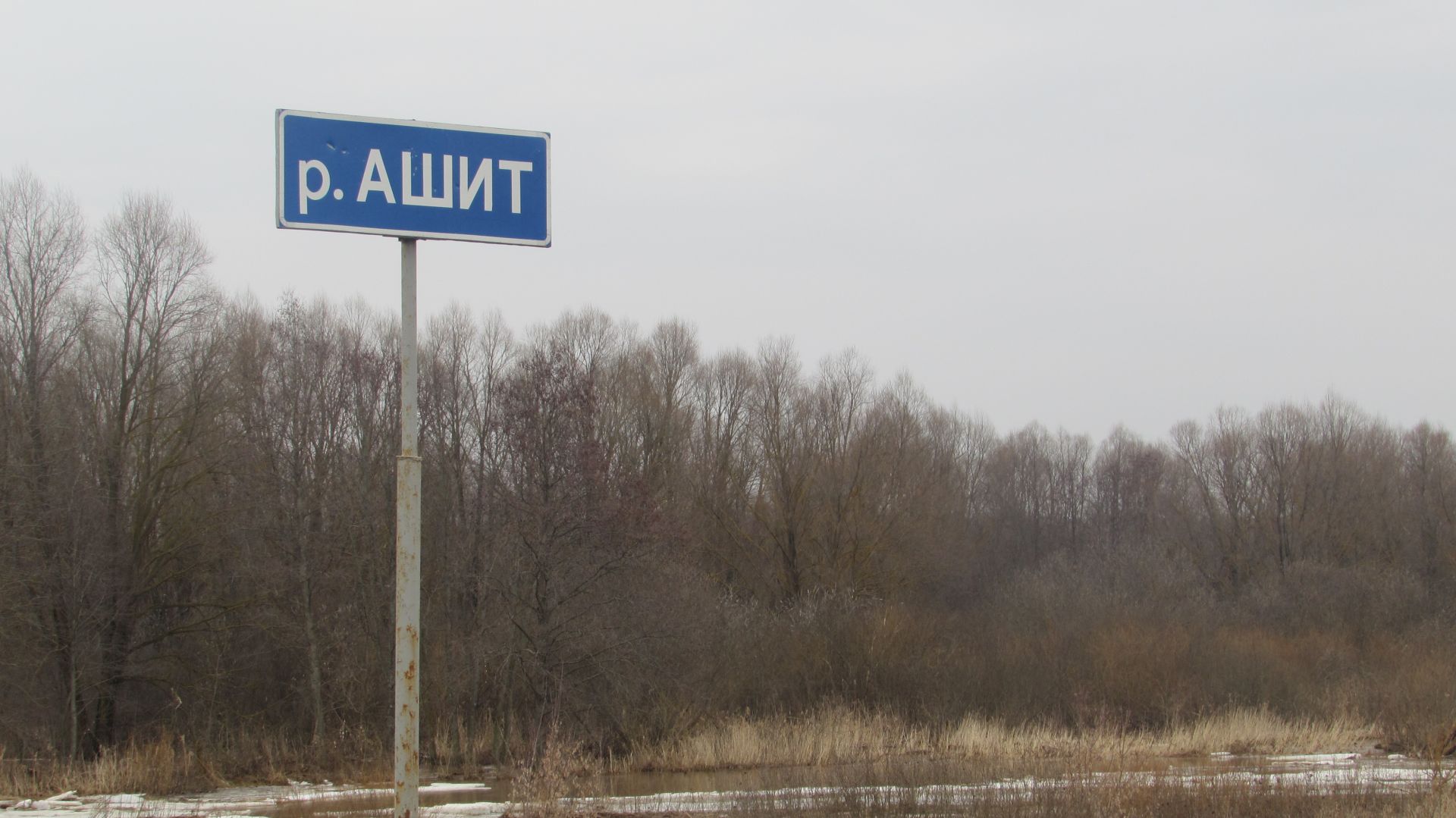 Күрдегезме, аккошлар кайткан