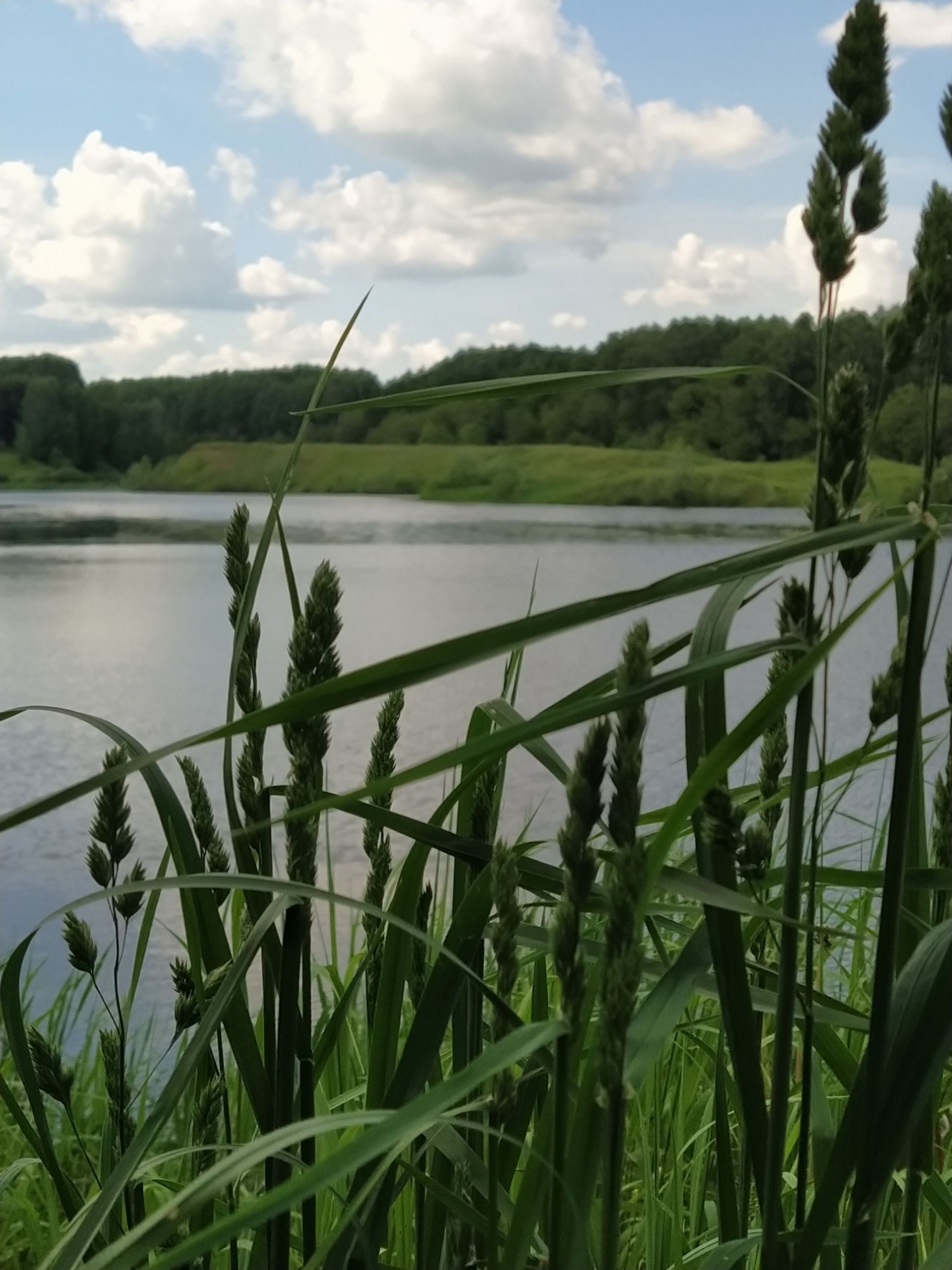 Ялларда Татарстанда салкынча һава торышы була