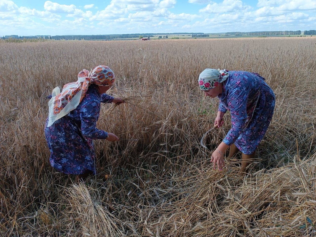 Урак өсте йоласын башкардылар