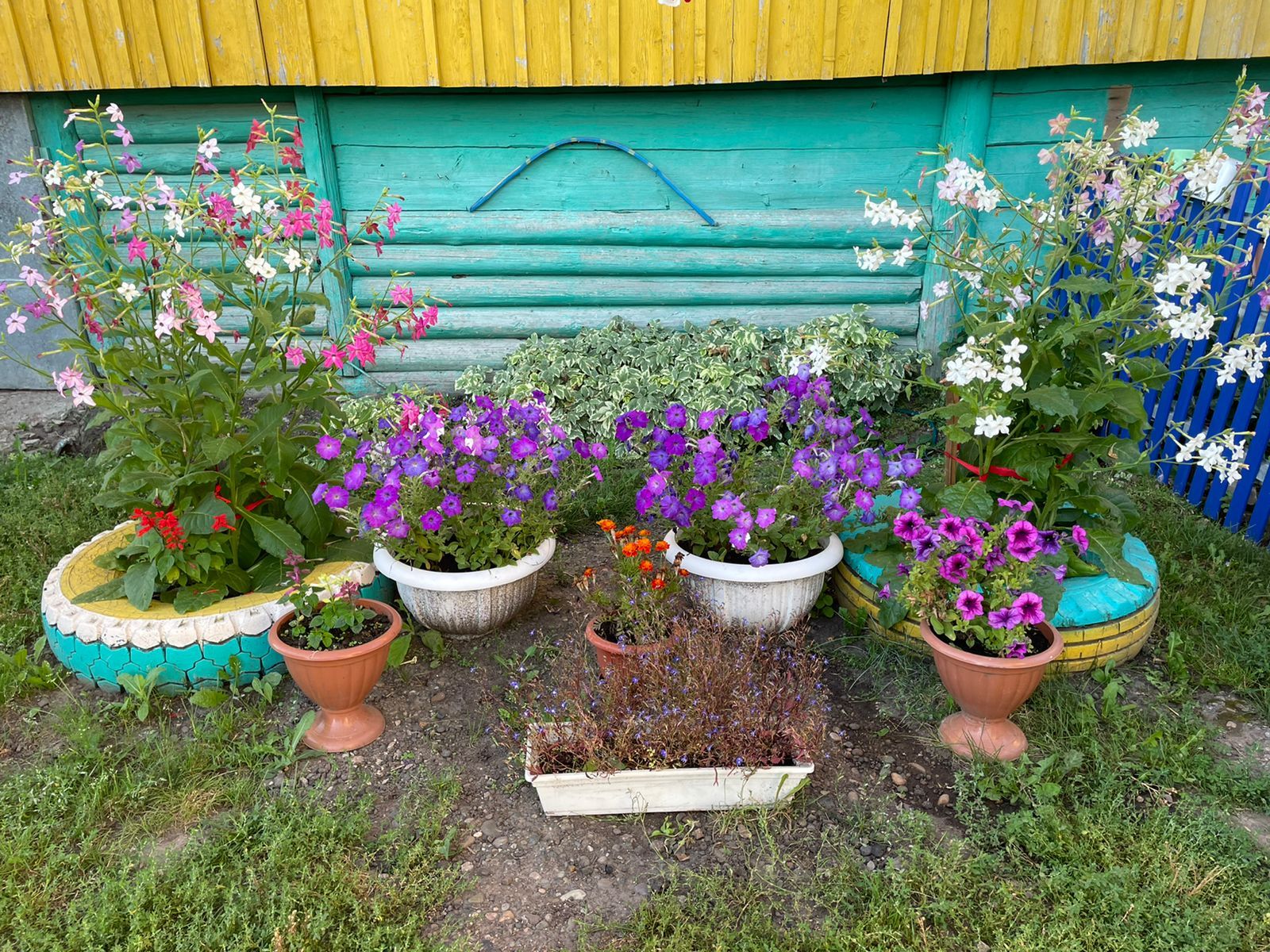 Бәйгебез тәмамланырга санаулы көннәр калып бара