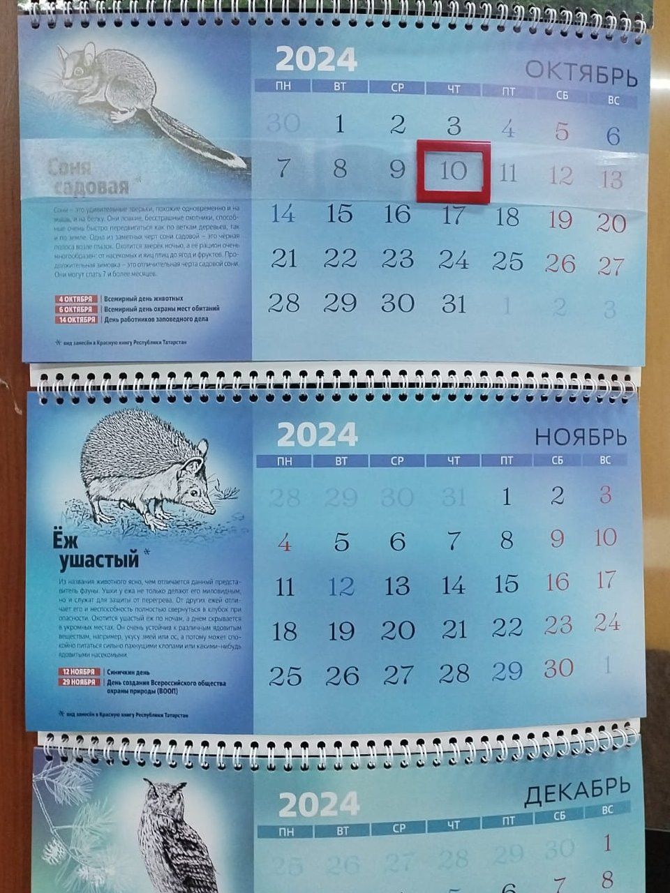 2025 елда отпуск алыр өчен иң отышлы айлар билгеле