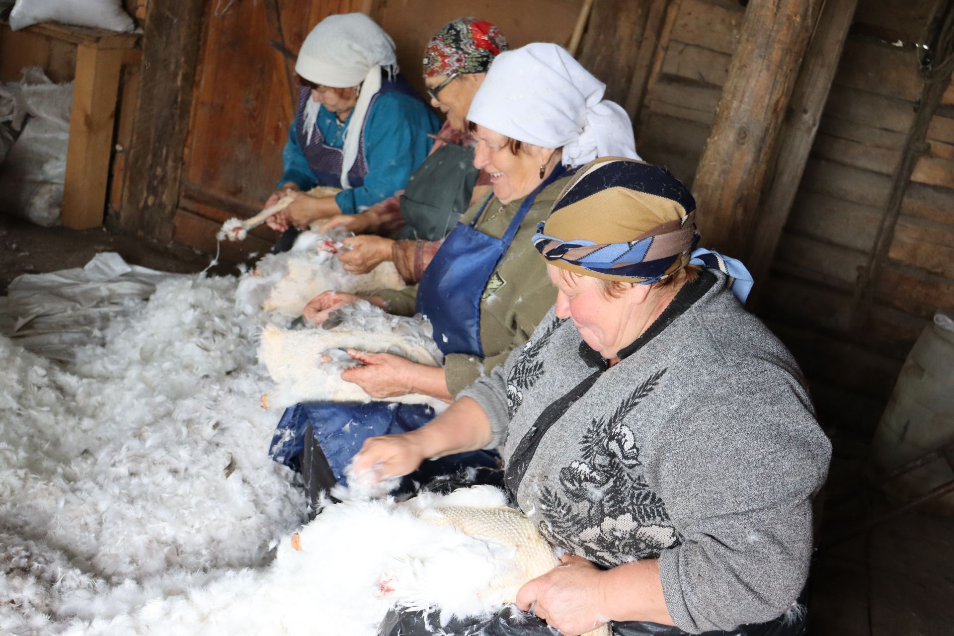 Әтнәдә каз өмәсе йоласы 40 каз йолку белән тәмамлана