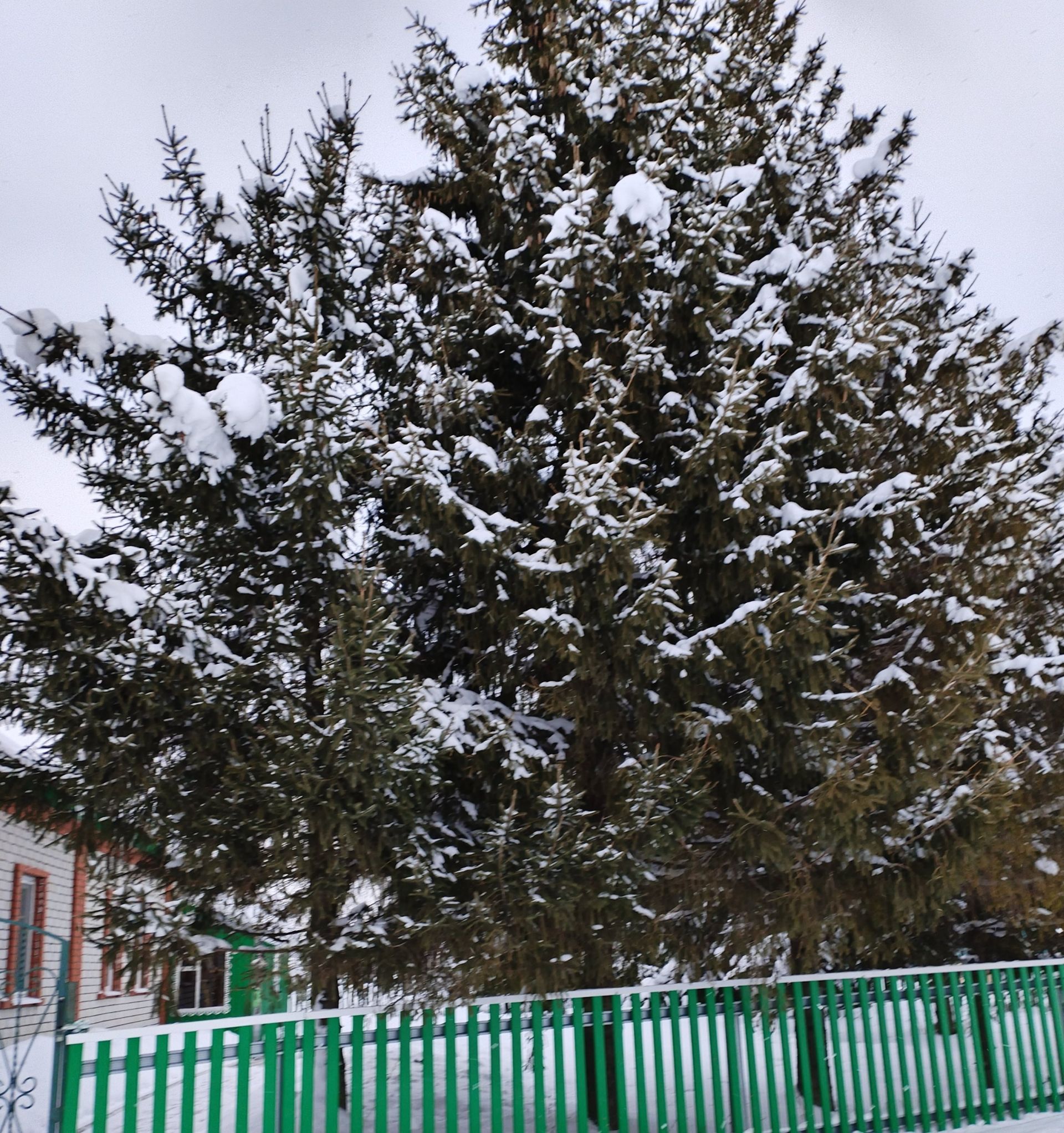 Һава торышы