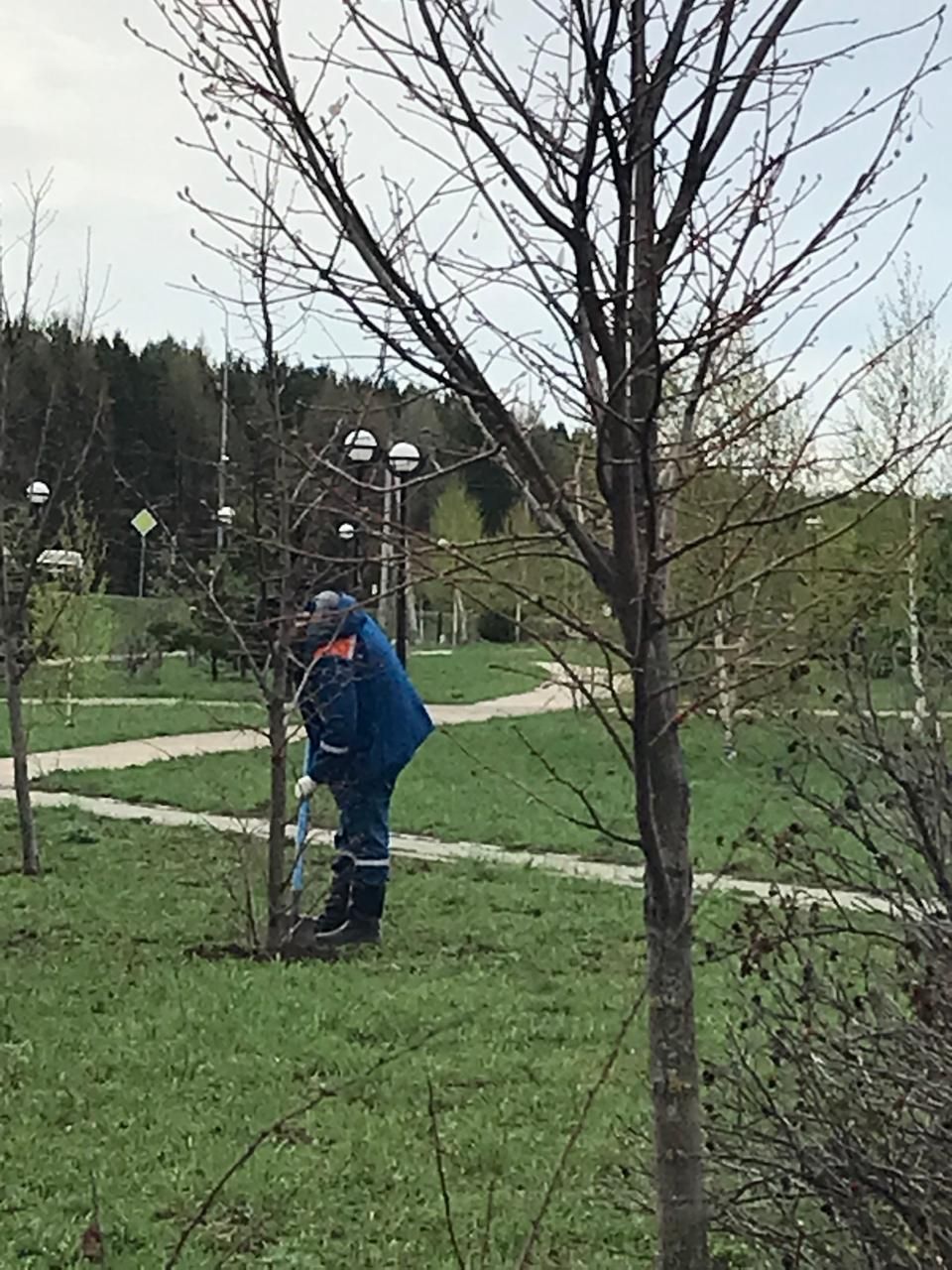 Әтнәнең Туган ягым паркы чистарды