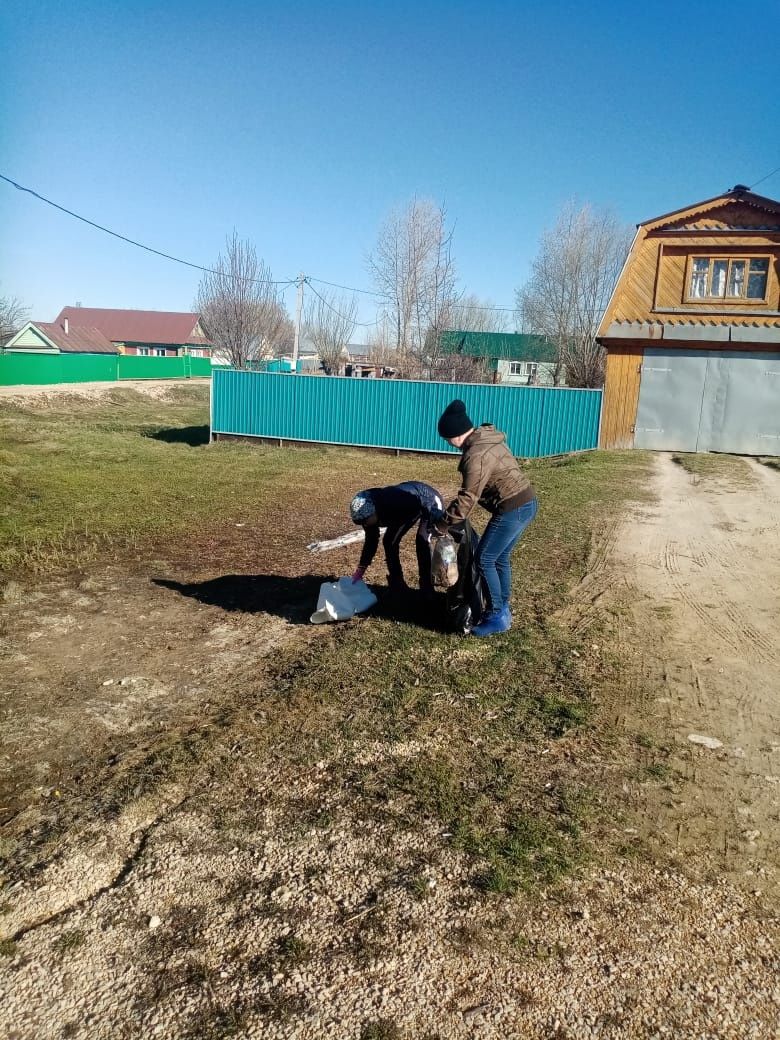 Бордюрларны, агачларны агарттылар