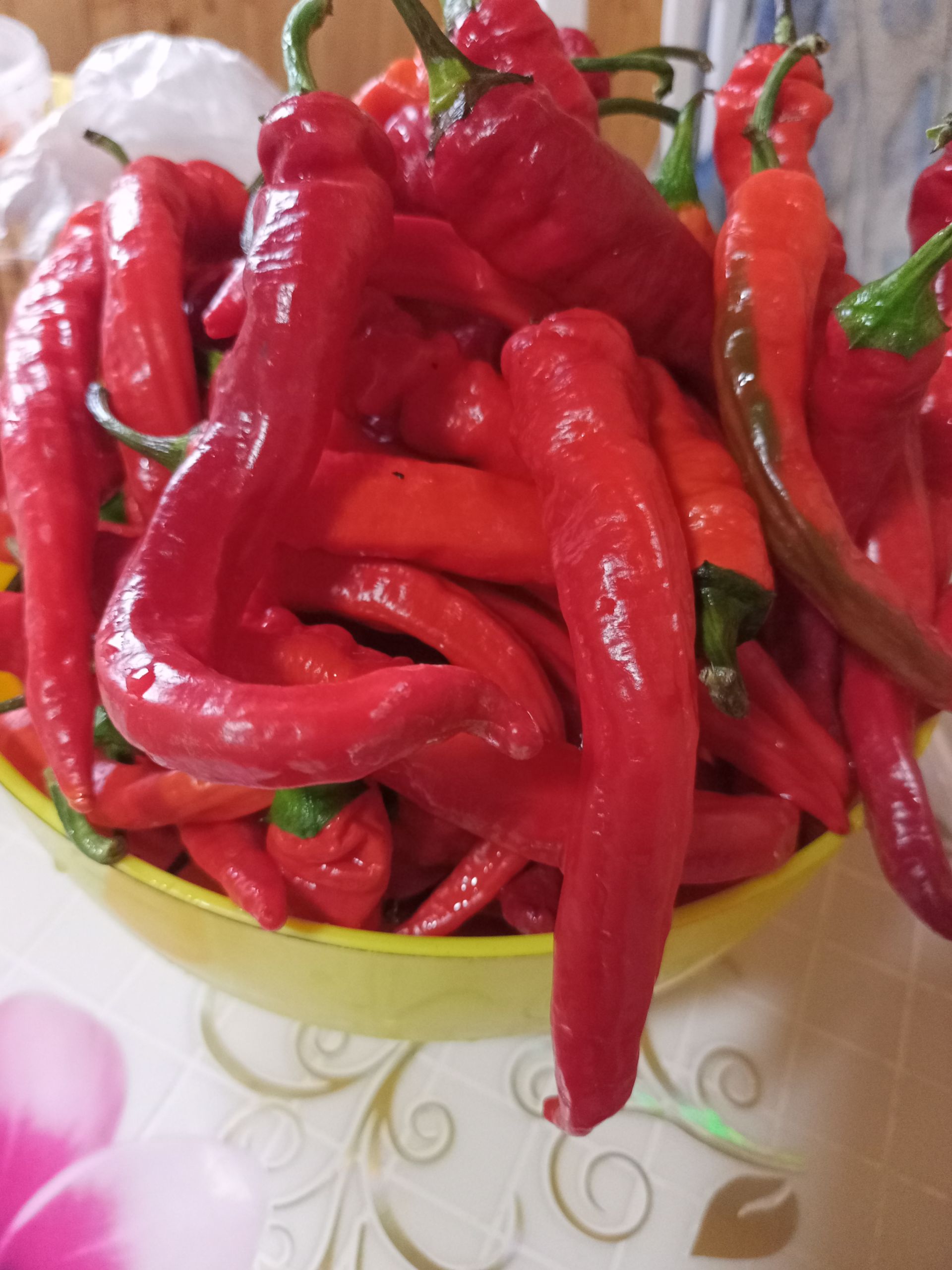 Бөҗәкләрдән өй шартларында котылу чаралары