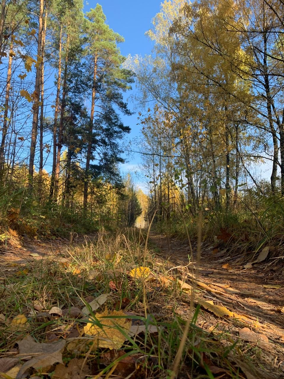 Бүген Әтнәдә болытлы һава торышы булачак