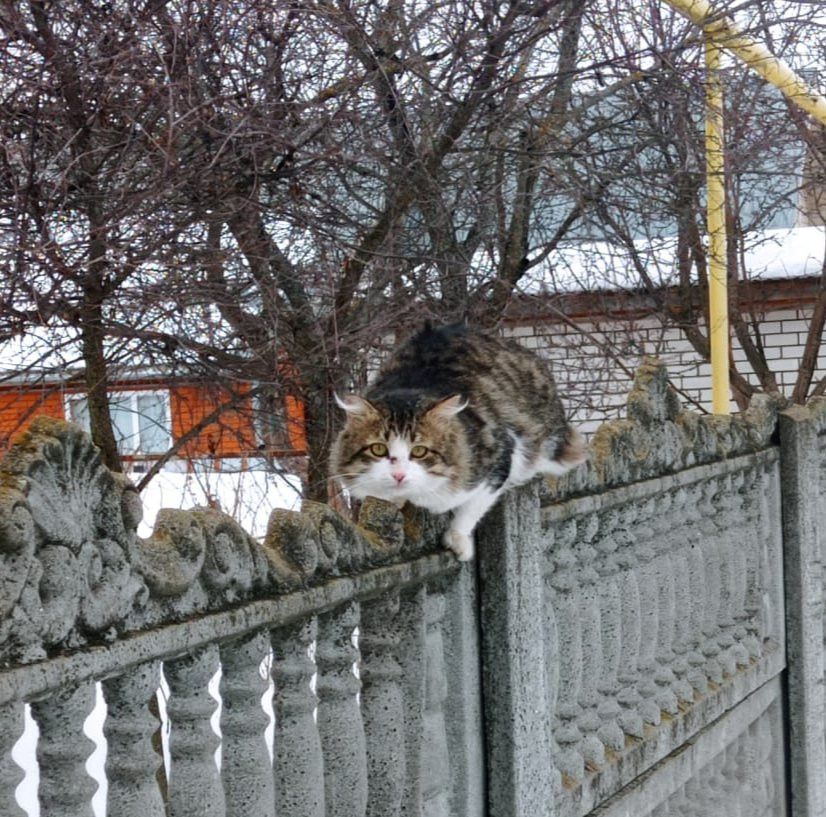 Әтнәдә температураның күтәрелүе фаразлана