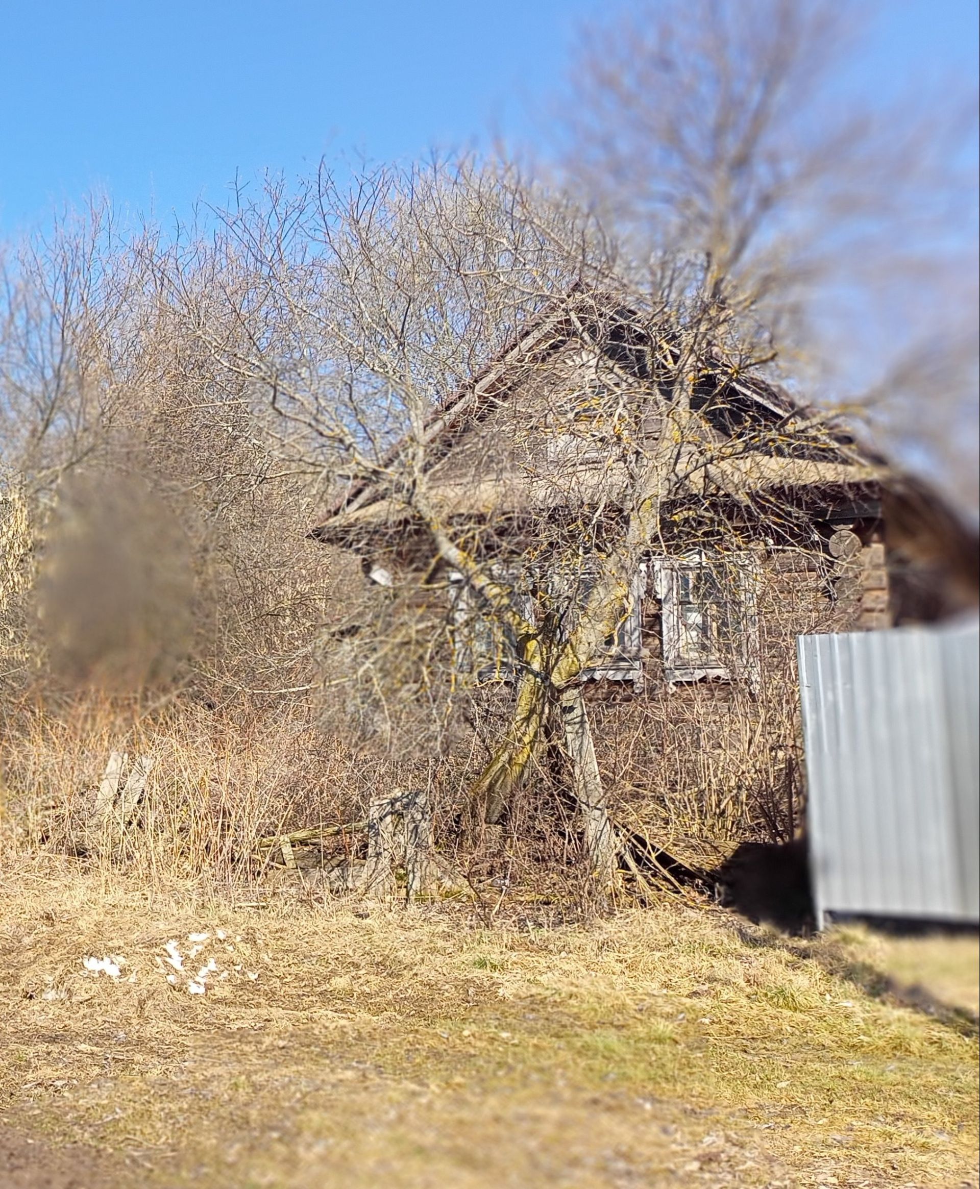 Ялгыз йорт