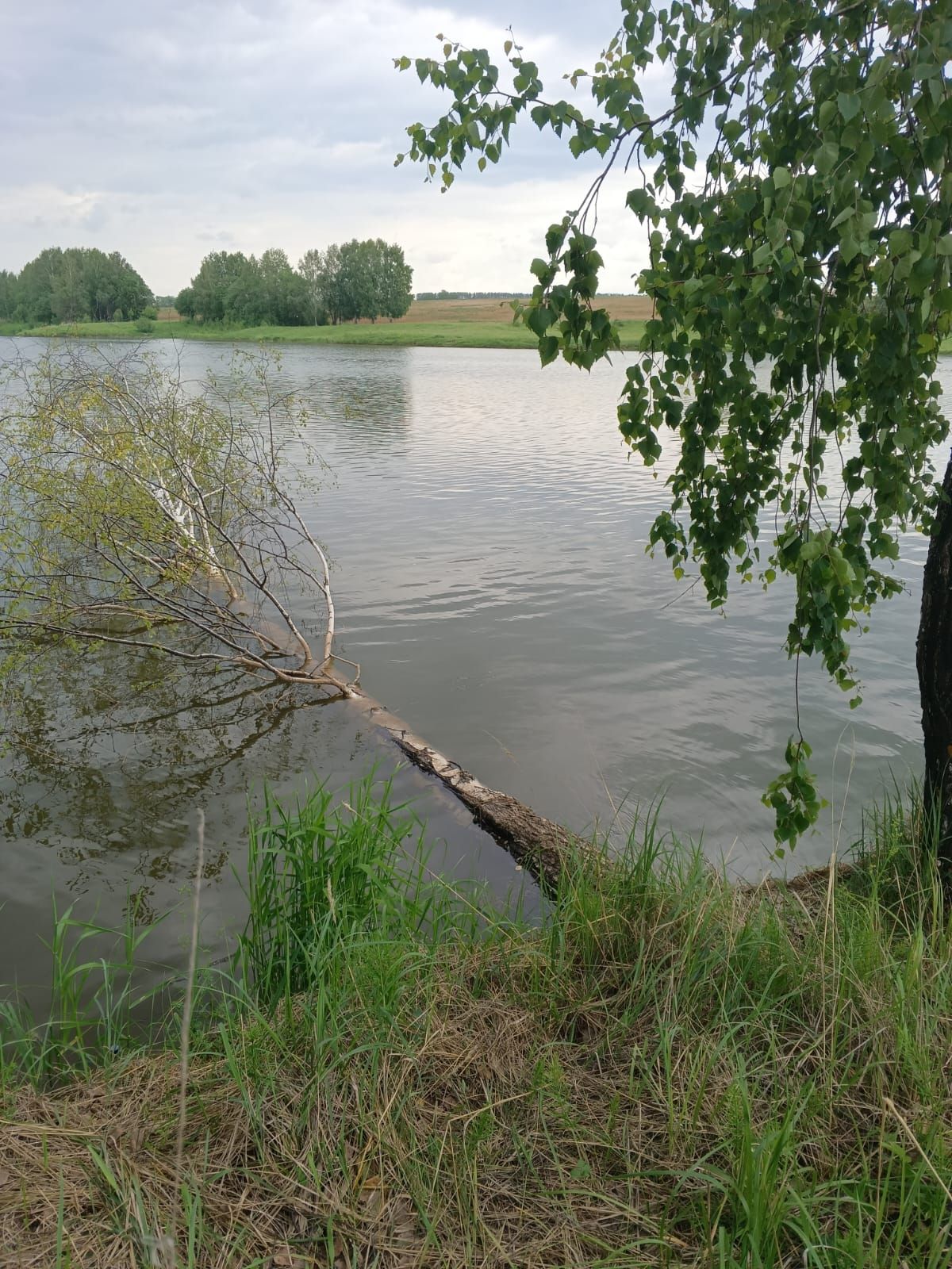 Үзгәртәсе килә...