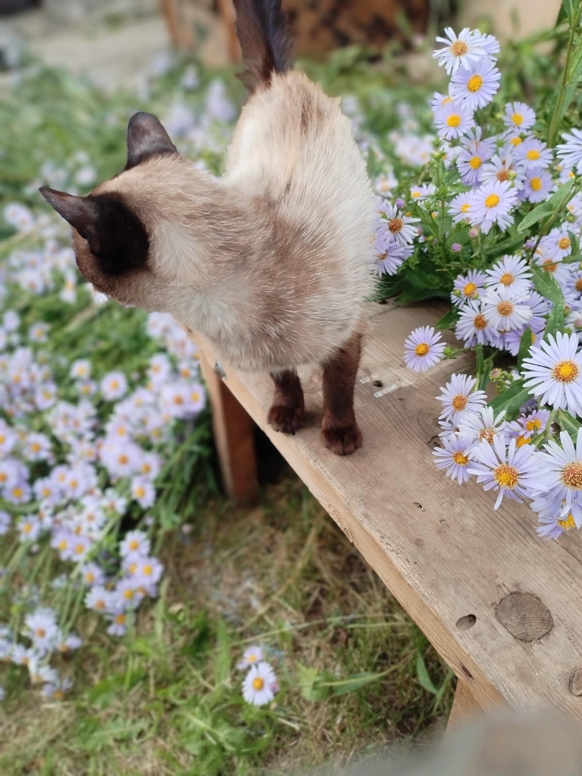 Бүген Әтнәдә  аязучан болытлы һава