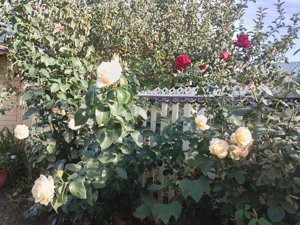 Бүген Әтнәдә аязучан болытлы һава көтелә