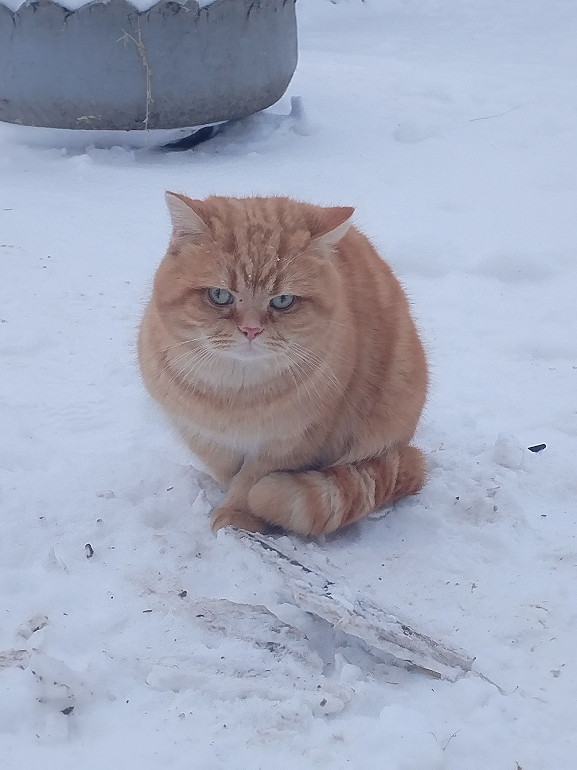 Әтнәдә температураның түбәнәюе көтелә