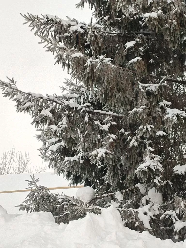 Әтнәдә бүген 3 градуска кадәр җылы